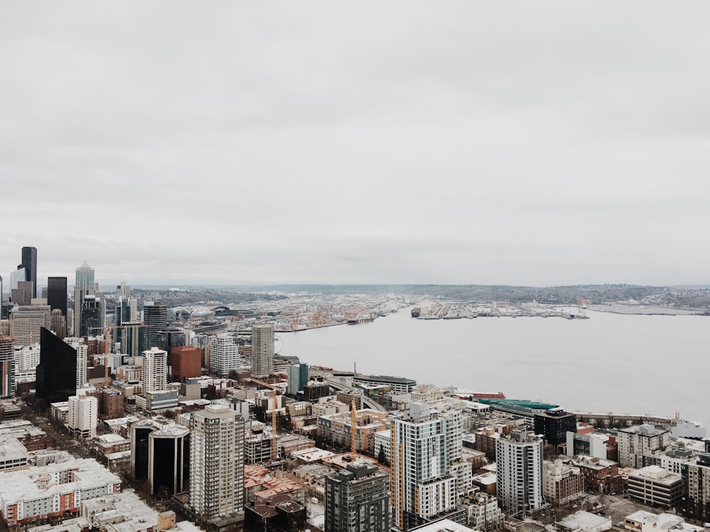 aerial photography of high-rise buildings near body of water