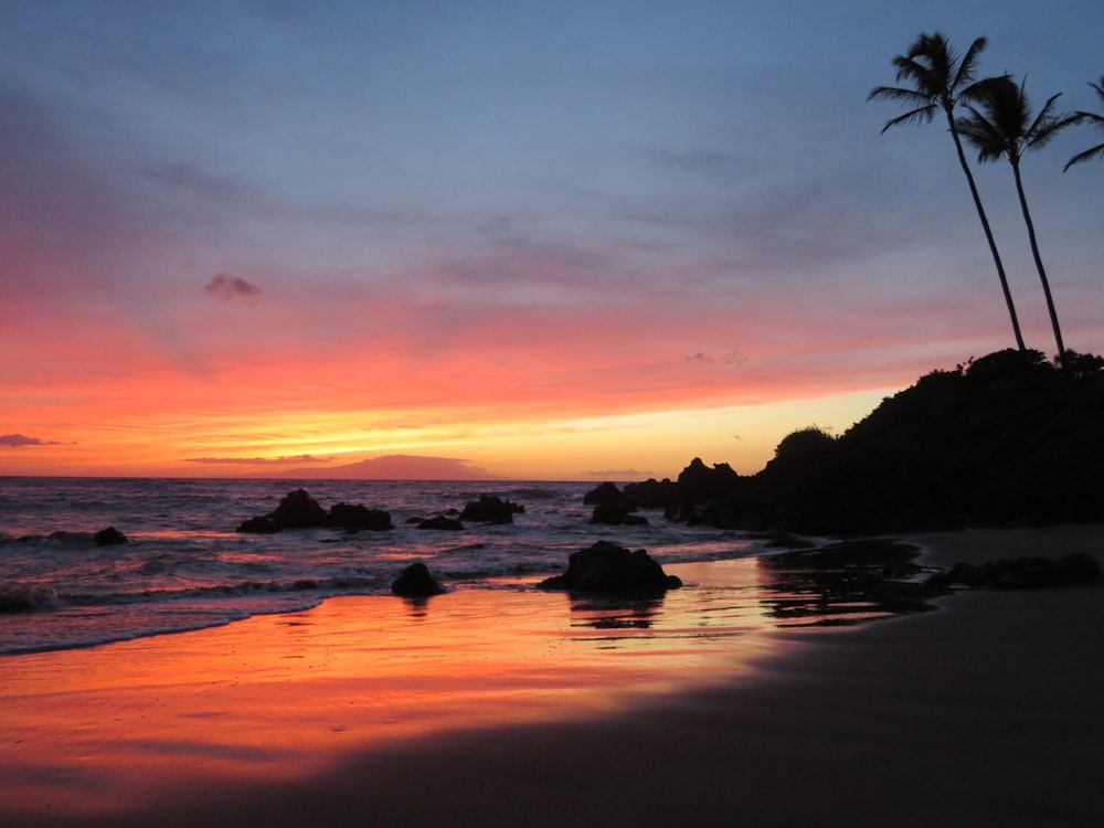 seashore under sunset