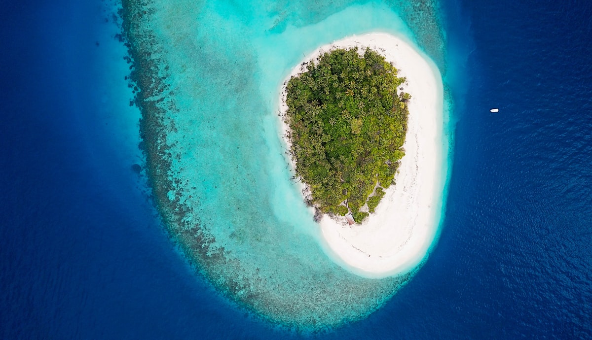 Cosa faresti se tu fossi sperduto su un'isola deserta?