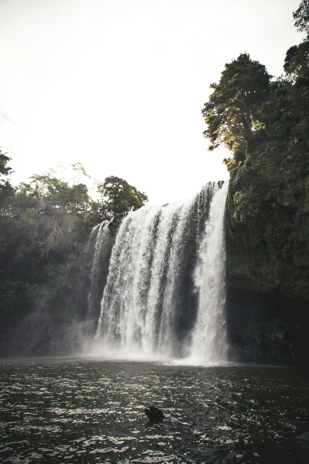 waterfalls in the middle of forest during daytime