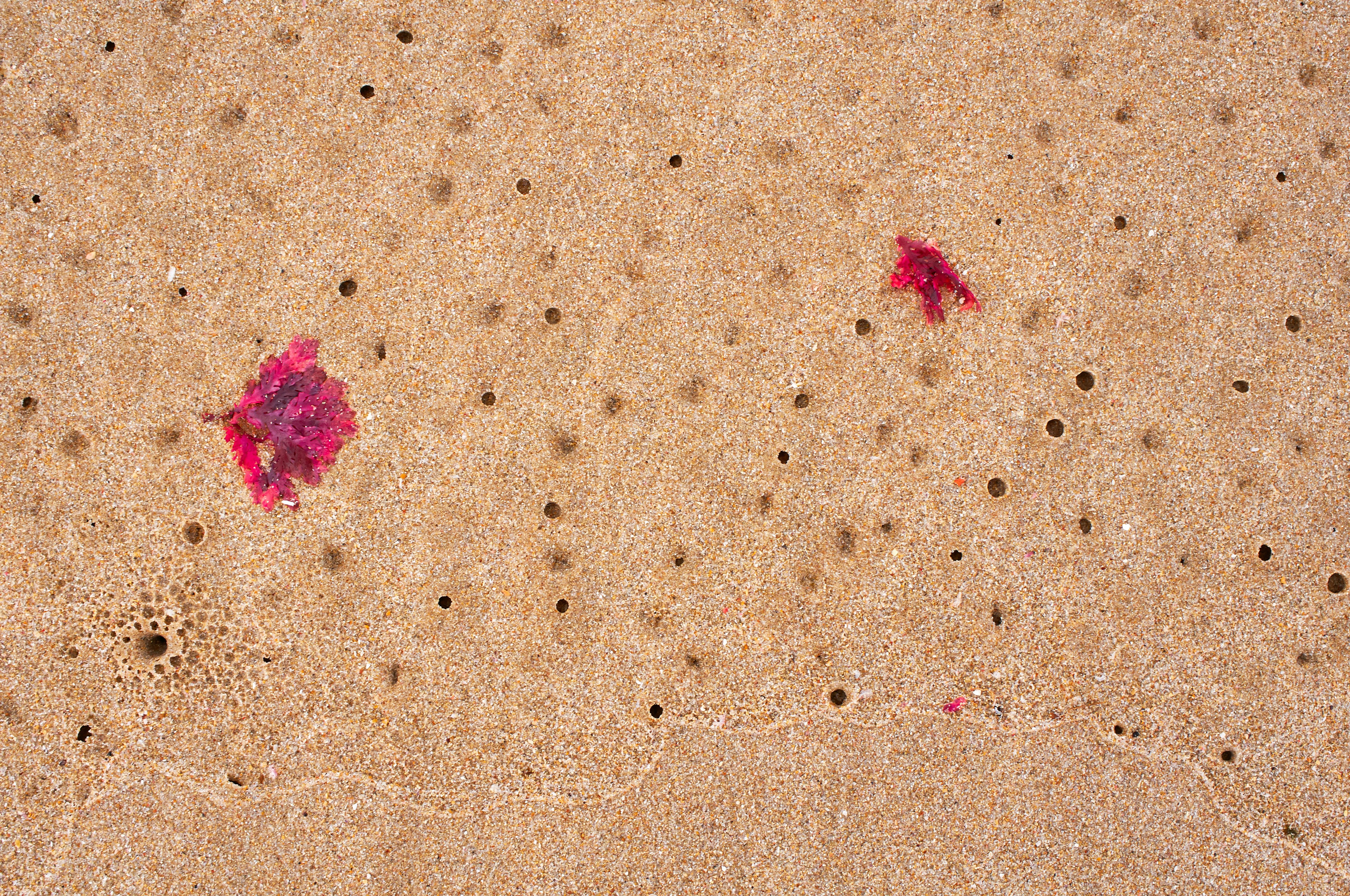 a sandy beach covered in lots of sand, 