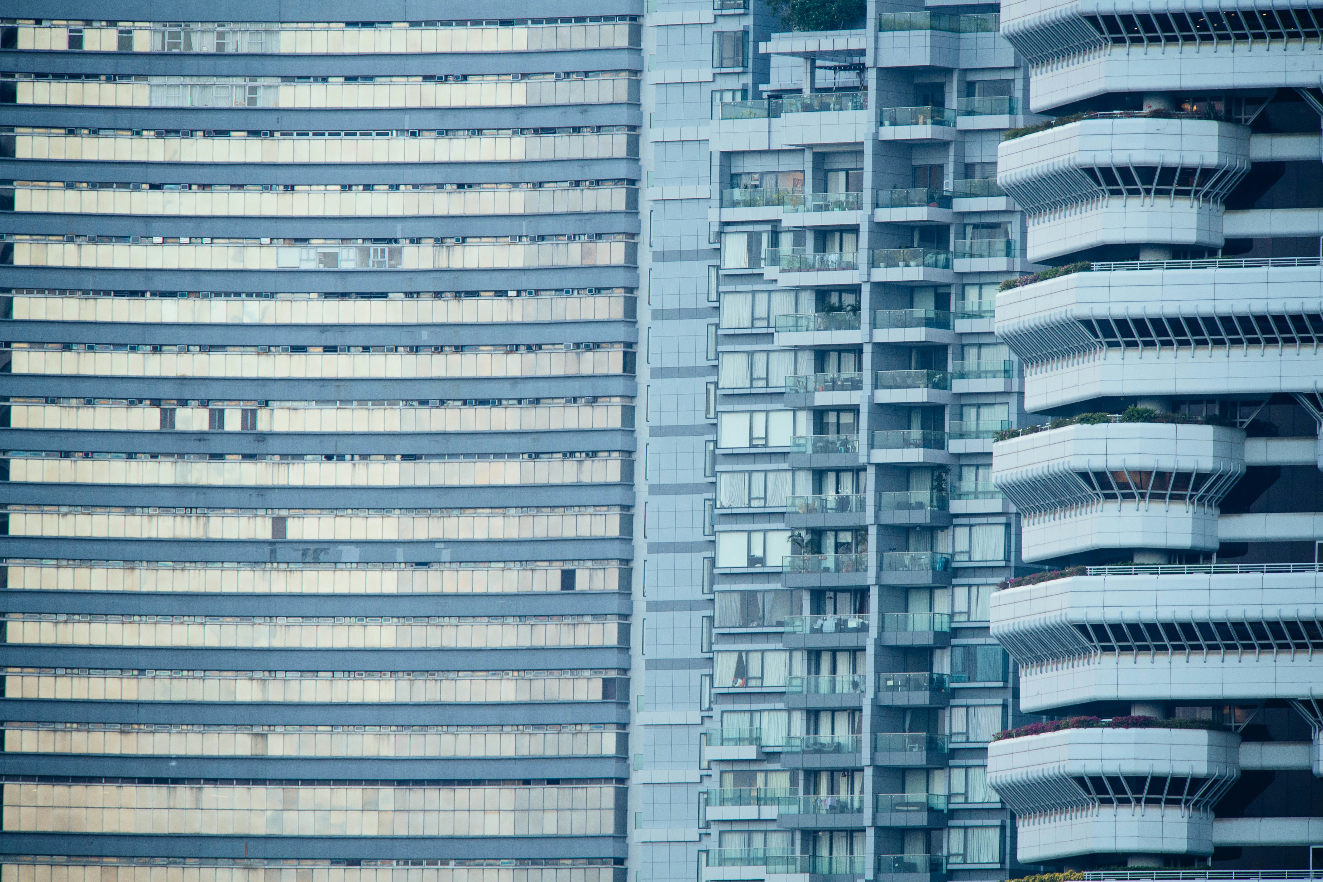 Photo by chuttersnap