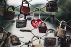 padlocks on fence during daytime