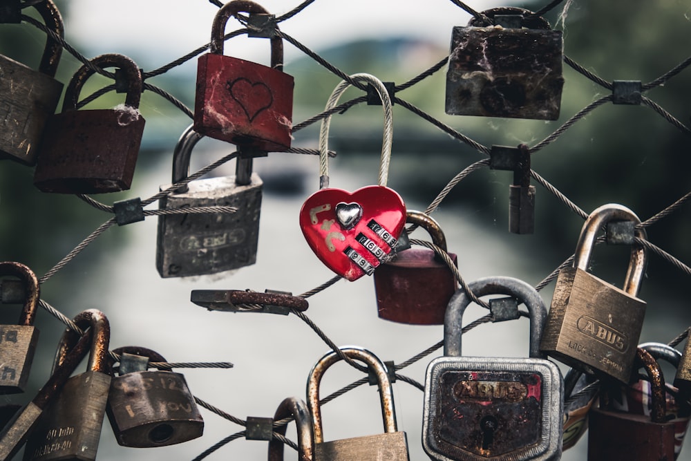 padlocks on fence during daytime