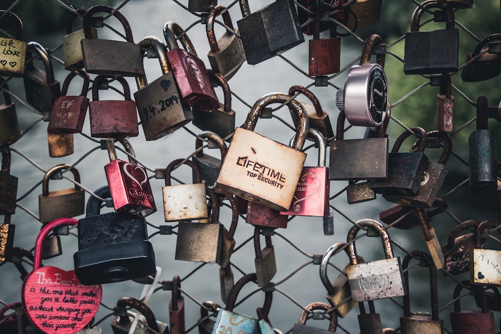 assorted-color padlock lot locked on gray wirelink fence