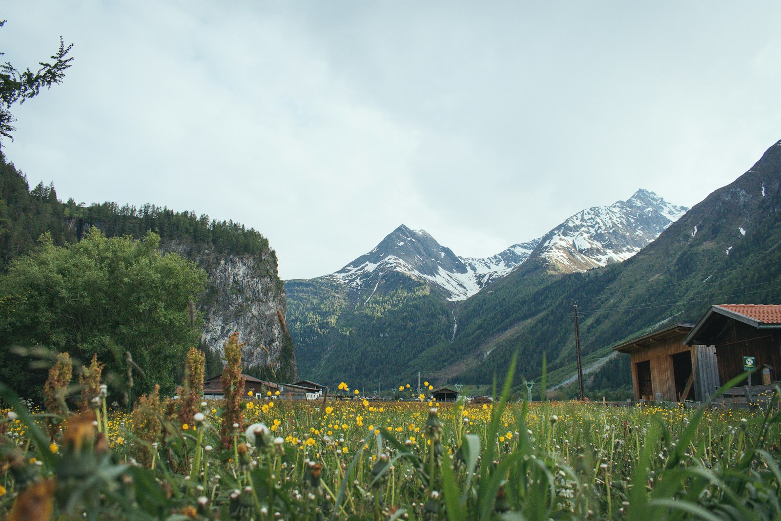 Nikon D5500 + Nikon AF-S DX Nikkor 18-55mm F3.5-5.6G II sample photo. Green grass field photography