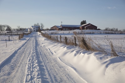 A snow-covered rural road leads to a farmhouse and barn under a clear blue sky. Fences line both sides of the road, with fields stretching out blanketed in snow. The landscape appears serene with traces of dried grass poking through the snow drifts along the fence.