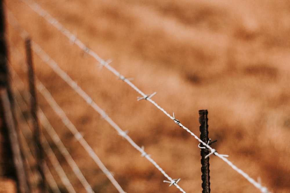 shallow focus photography of barbwires