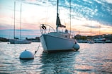 white sailing boat dock in paier