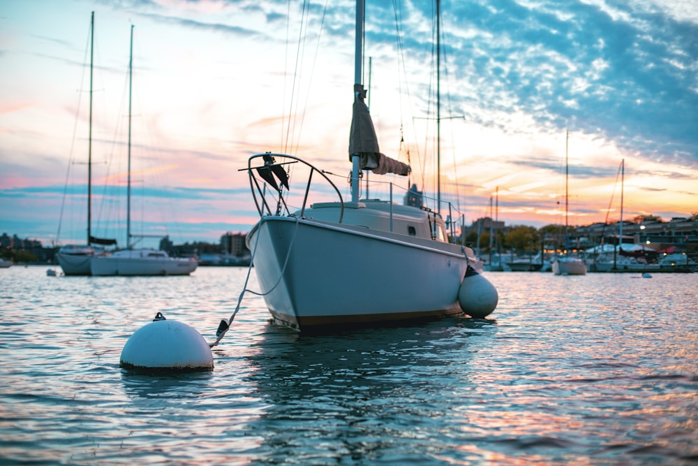 white sailing boat dock in paier