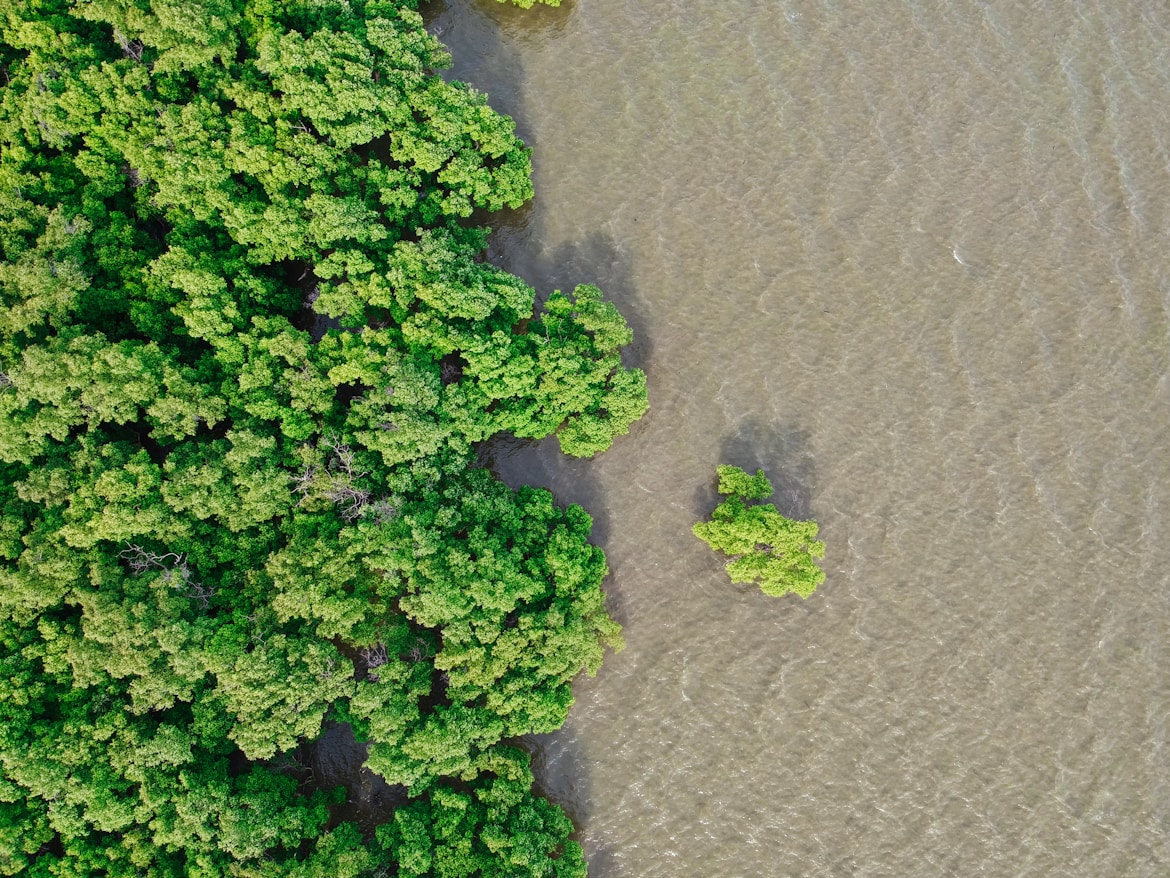 Cambodia