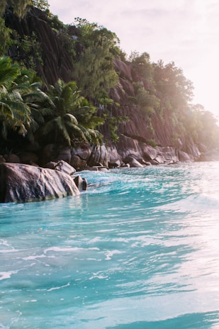 A peaceful coastal view in Lombok with turquoise waters meeting lush green jungle.