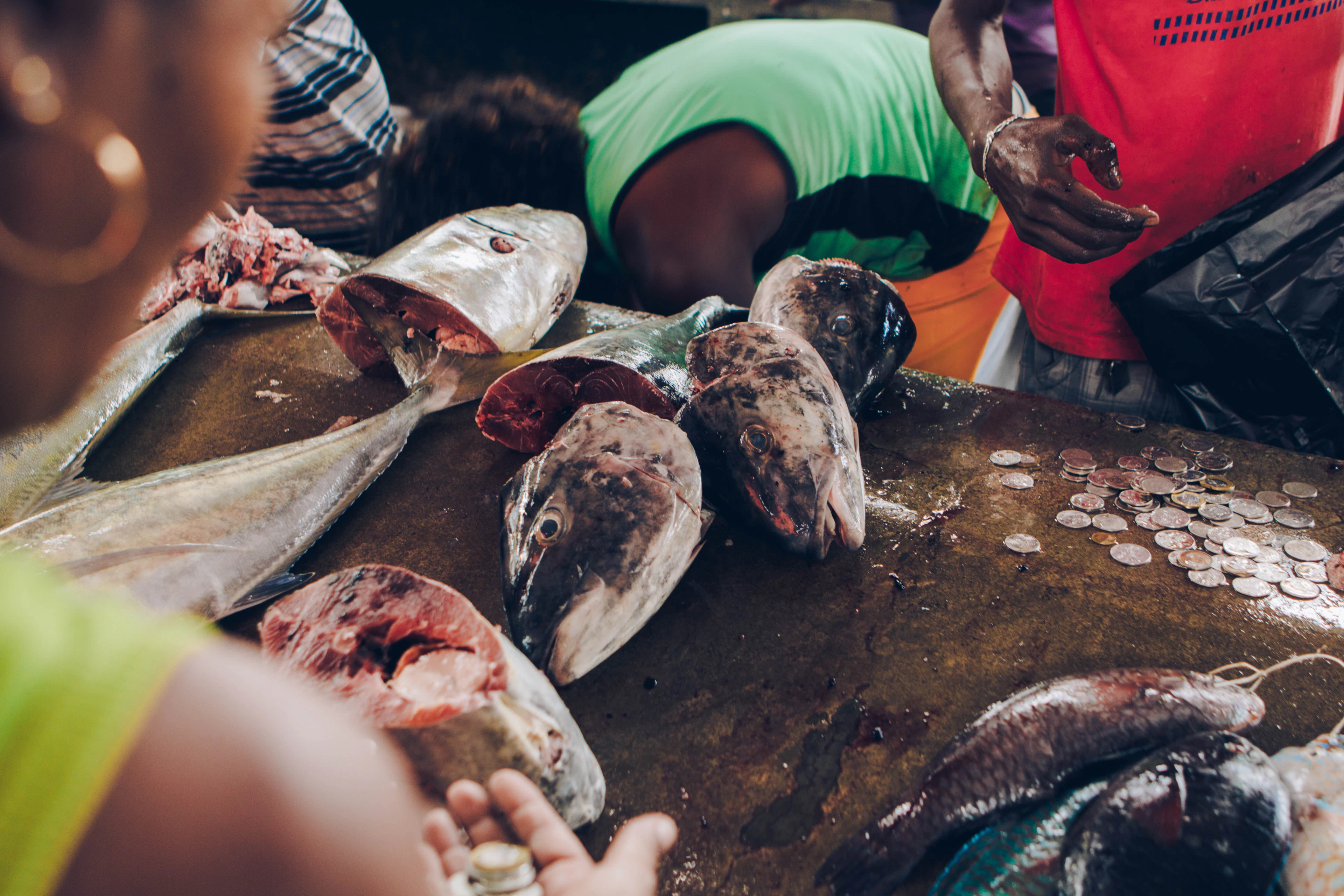 Fresh-caught fish laid out on the wet stone counter of the fish market on Market Street in Victoria, Mahe, with rupee coins counted out on the slab and traders leaning in over the catch