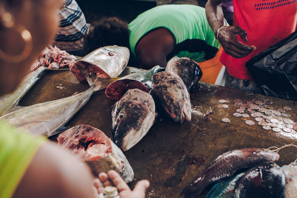 a group of people standing around a table filled with fish