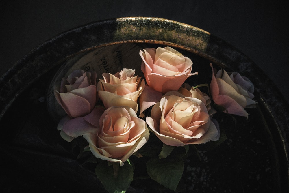 pink roses on brown ceramic pot