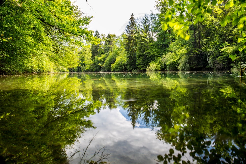 calm body of water