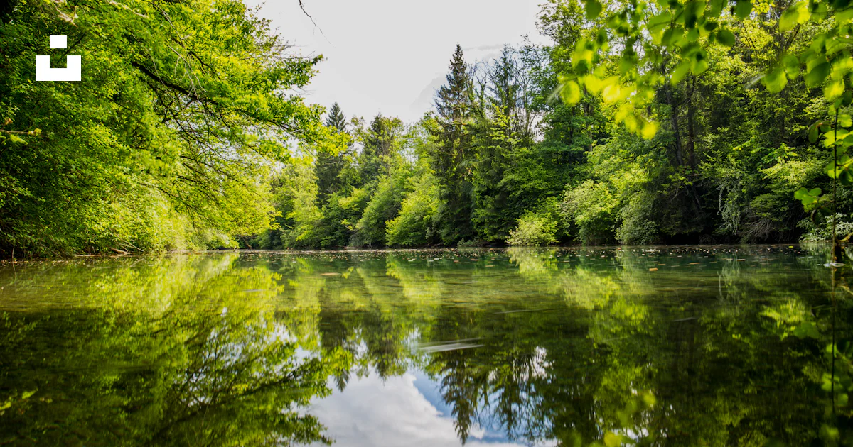 Image Calme Plan d’eau calme photo – Image gratuite de Forêt sur Unsplash