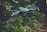 A drone with a sleek, modern design hovers in the air against a backdrop of lush green foliage. It has four rotors, each emitting a soft blur from the rapid movement. Two small lights on the front arms emit a soft red glow, possibly for navigation or signaling.