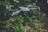 A drone with a sleek, modern design hovers in the air against a backdrop of lush green foliage. It has four rotors, each emitting a soft blur from the rapid movement. Two small lights on the front arms emit a soft red glow, possibly for navigation or signaling.