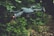 A drone with a sleek, modern design hovers in the air against a backdrop of lush green foliage. It has four rotors, each emitting a soft blur from the rapid movement. Two small lights on the front arms emit a soft red glow, possibly for navigation or signaling.