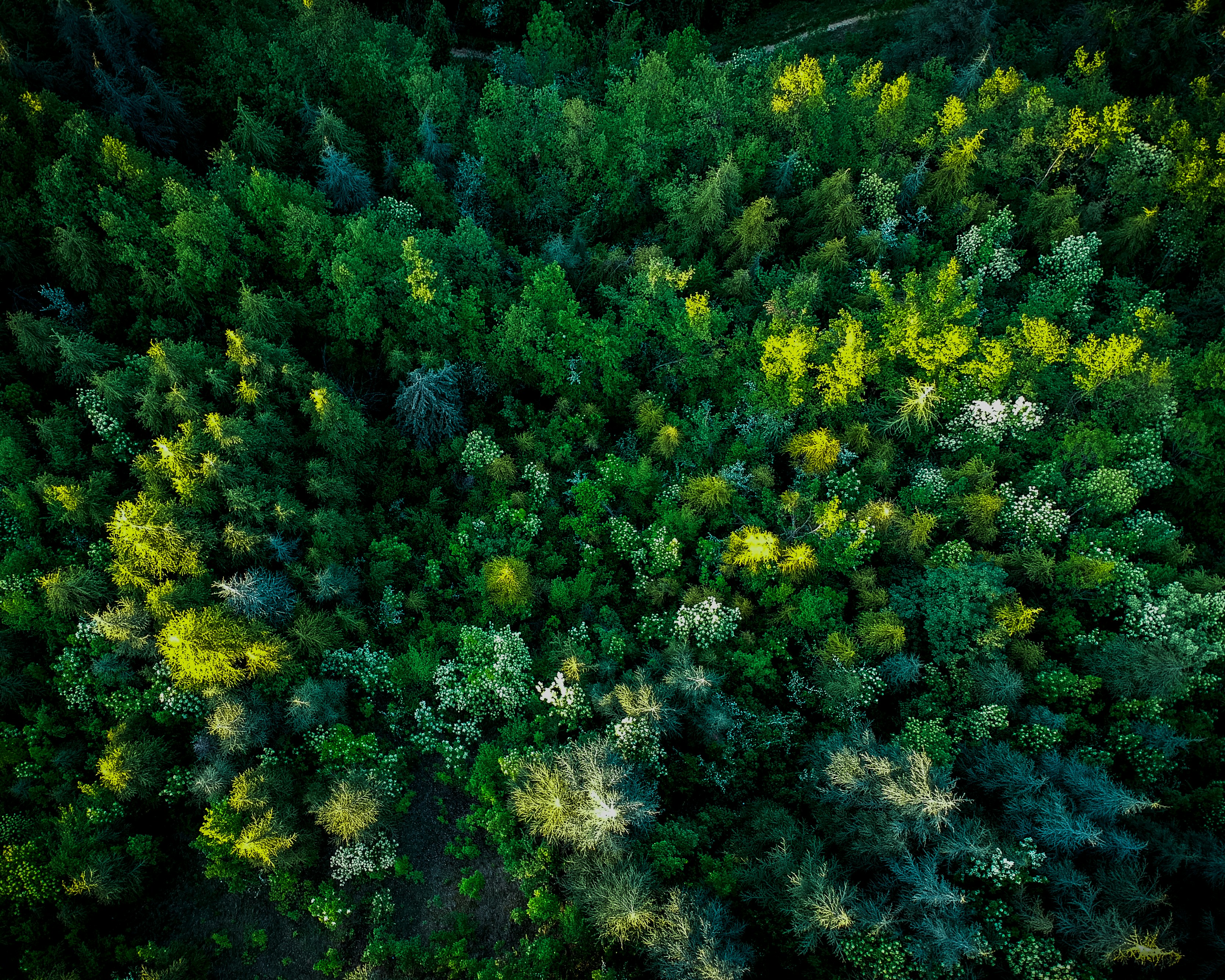 Photo by pierballandi