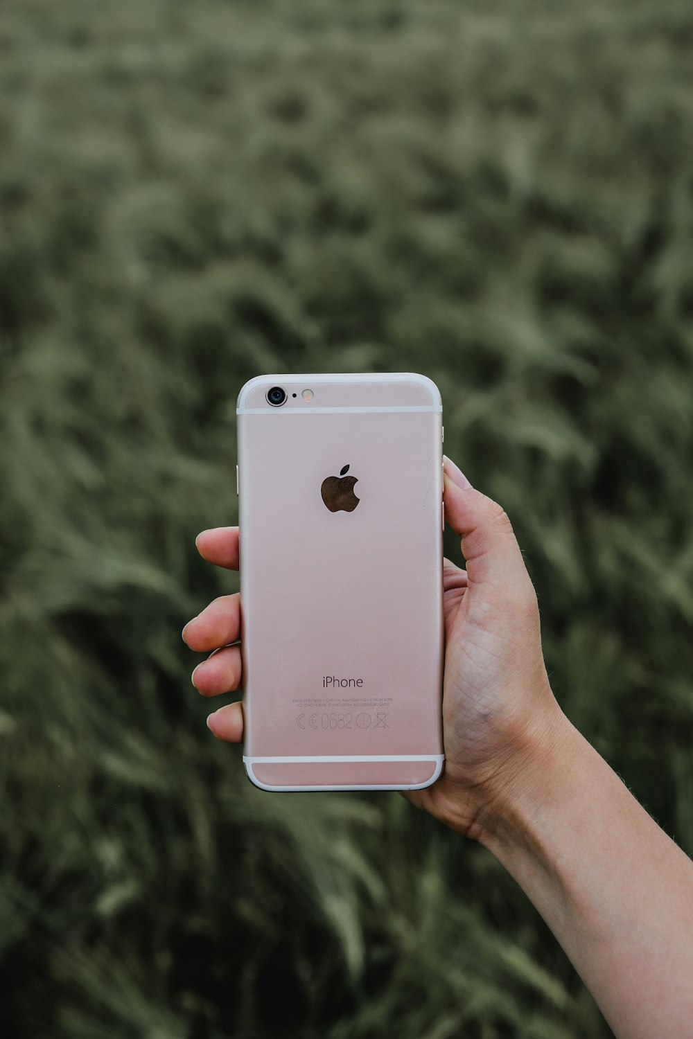 personne tenant un iPhone 6s en or rose