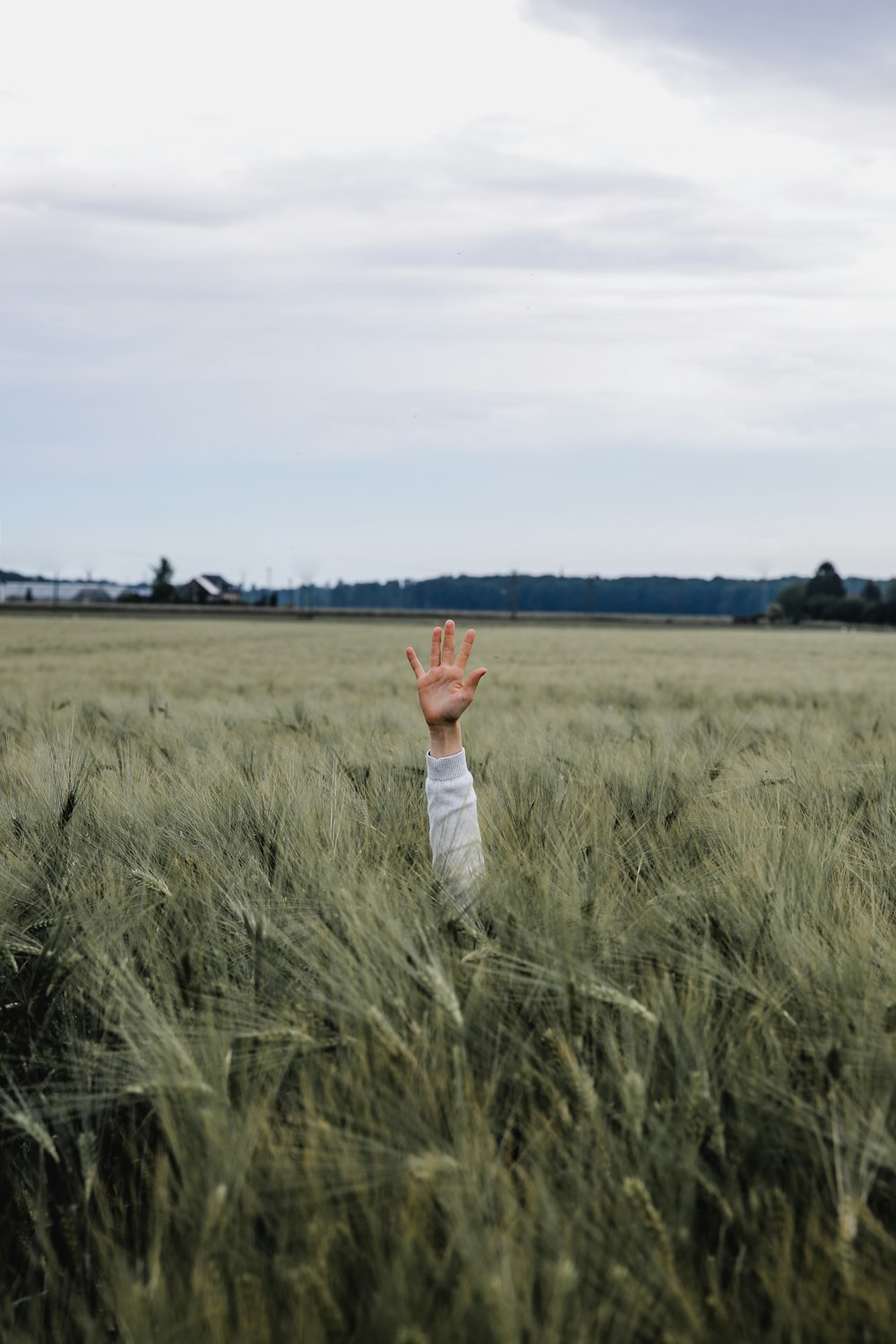 person hand on grass land