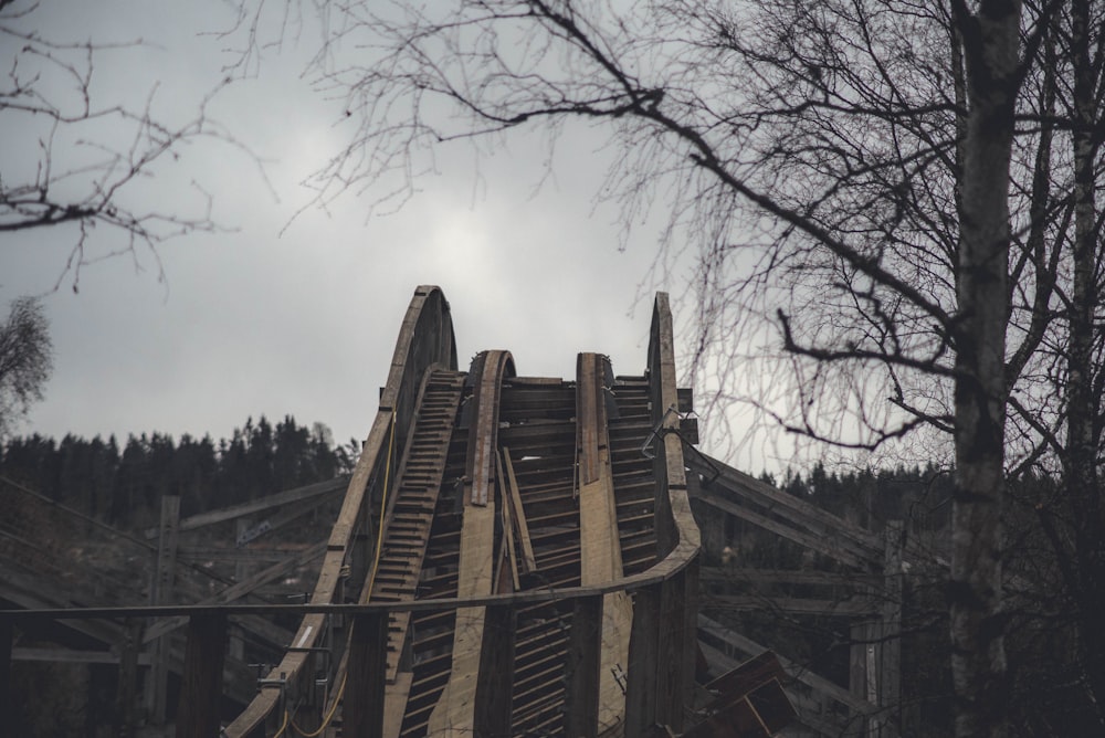 brown wooden foot bridge