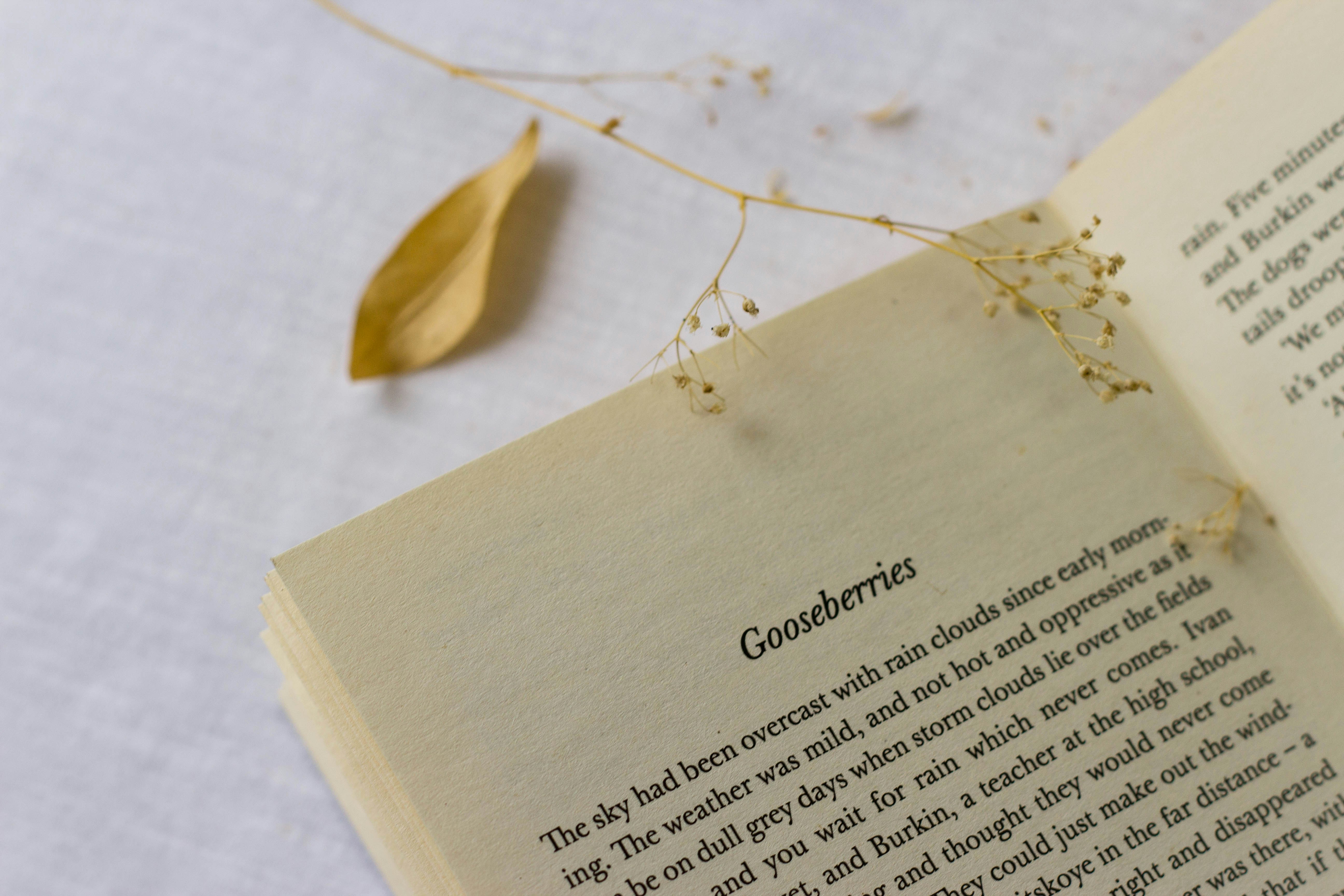 Goodreads: 40 Heartfelt Wishes for Book Lovers and Quotes