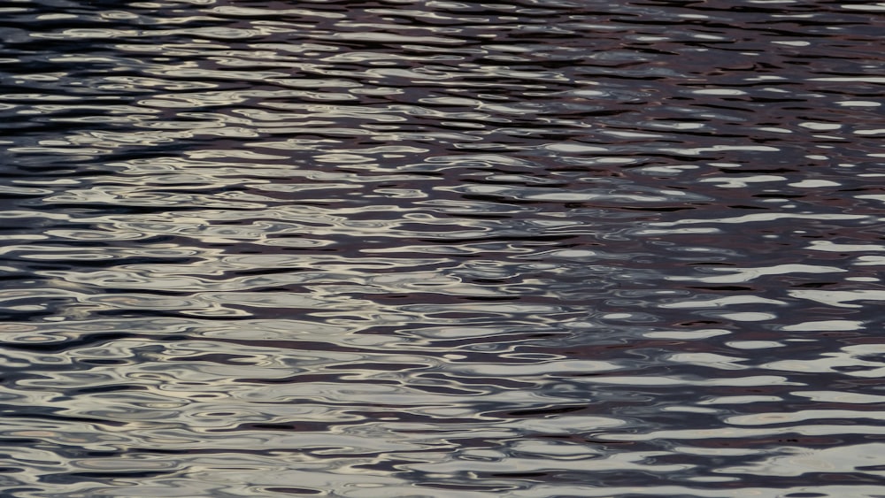 rippling body of water at daytime