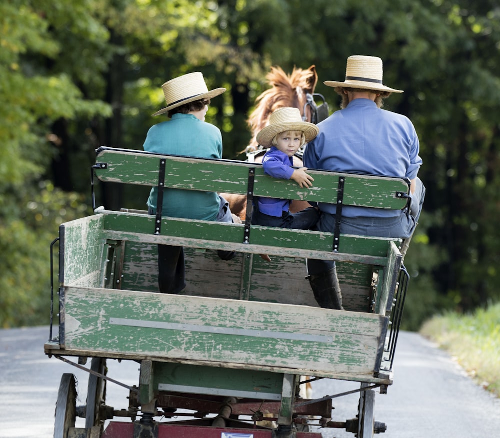 girl wearing purple long-sleeved shirt sitting on green carriage