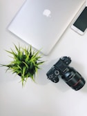 silver MacBook near black Sony DSLR camera