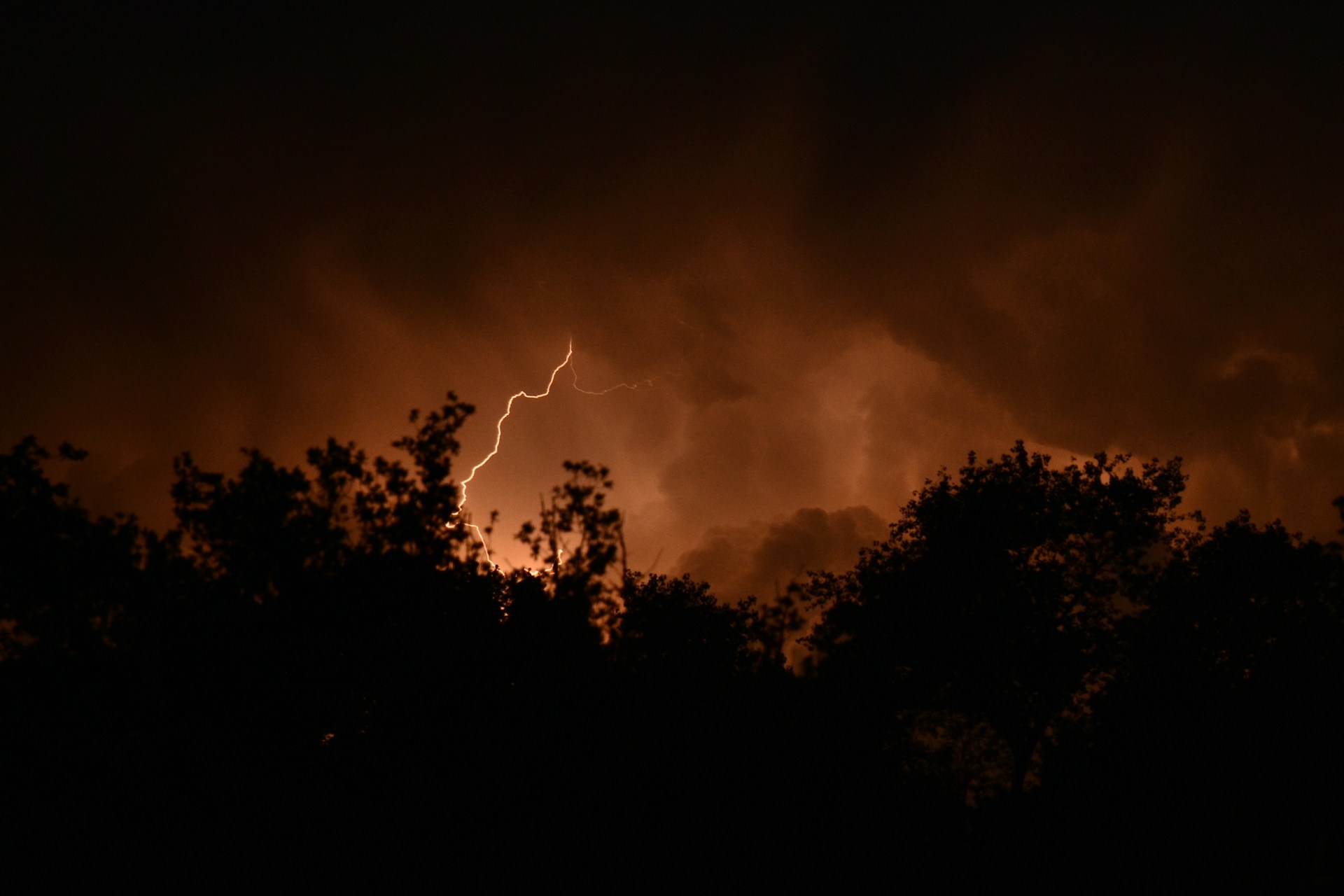 cloudy sky with lighting above trees