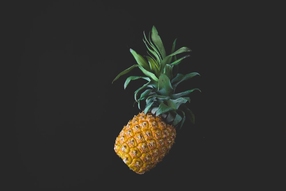 shallow focus photography of pineapple