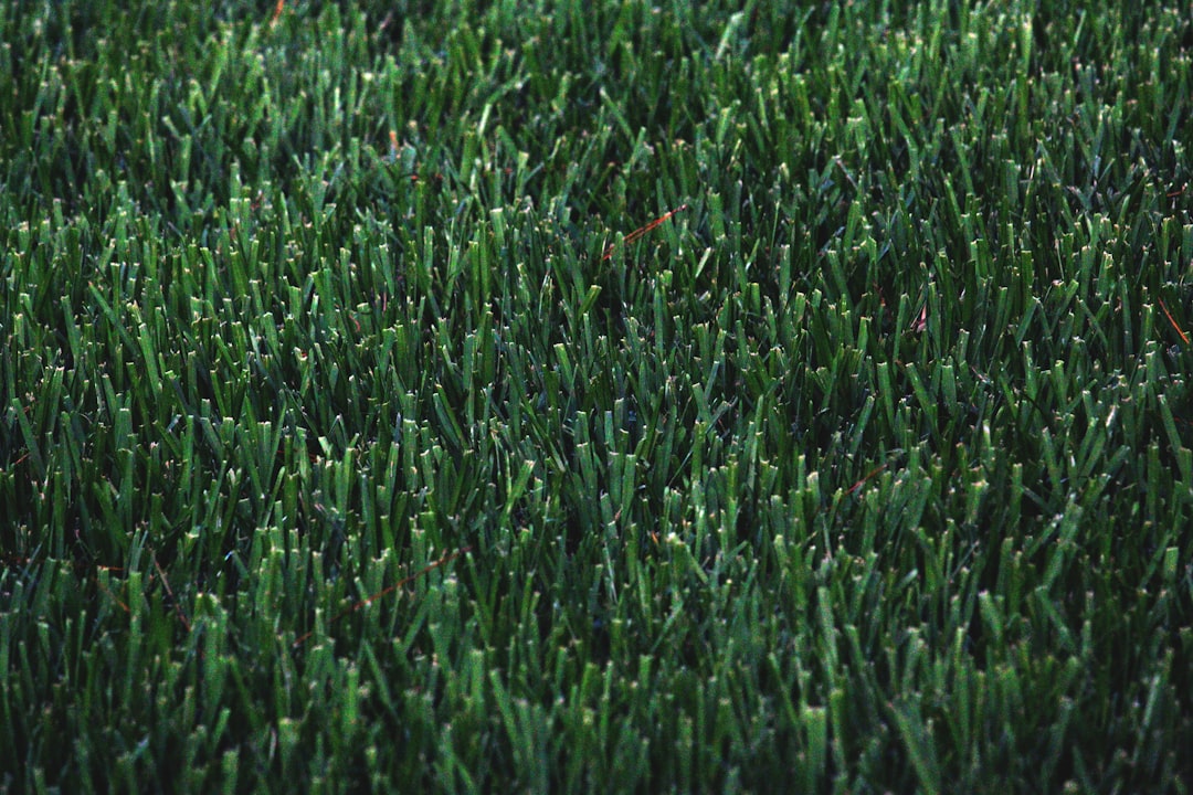 Cutting Turf from a Peat Bog In Ireland