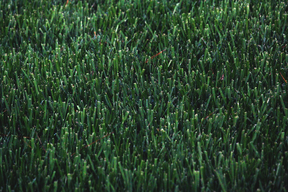 close-up of artificial grass