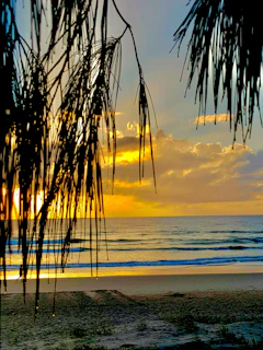 Palm-fringed beaches and turquoise waters of Goa at sunset