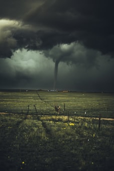 Hurricane Preparedness: A Step-by-Step Family Guide