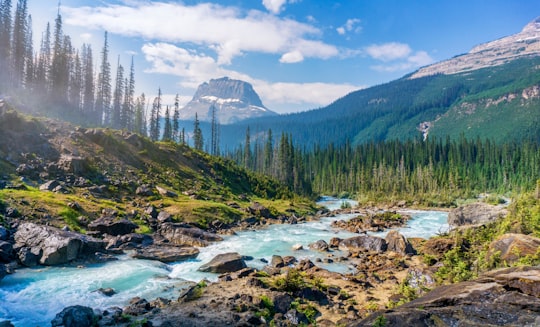 time-lapse photography of river in Yoho National Park Of Canada Canada