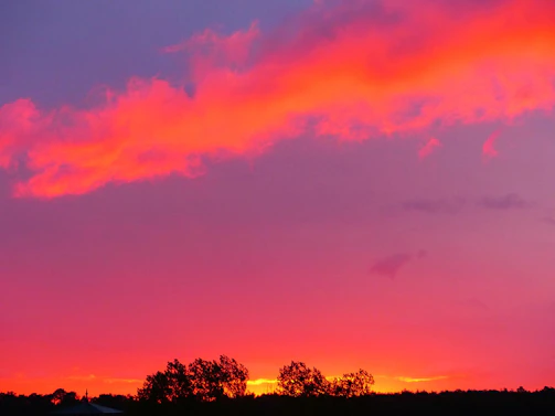 A vibrant sunset over the bayou, showcasing warm earth tones.