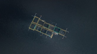 aerial photography of fish pen at daytime