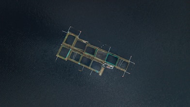 aerial photography of fish pen at daytime