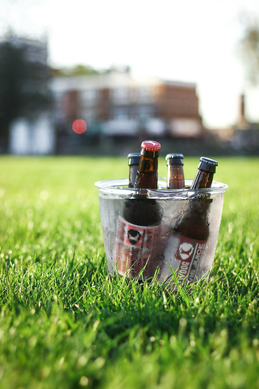 Fotografía de enfoque superficial de botellas de cerveza en cubo