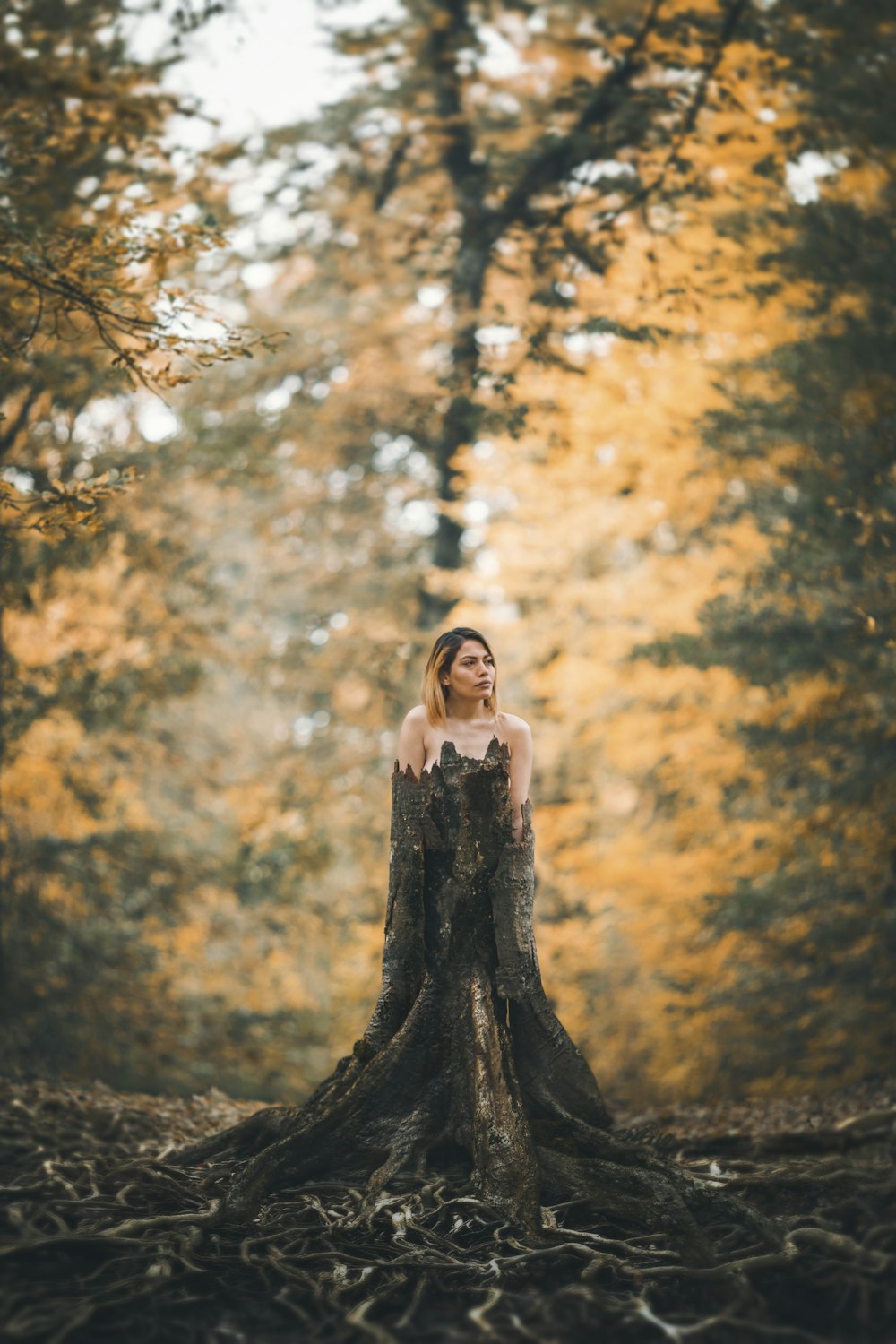 woman standing behind tree stump at forest