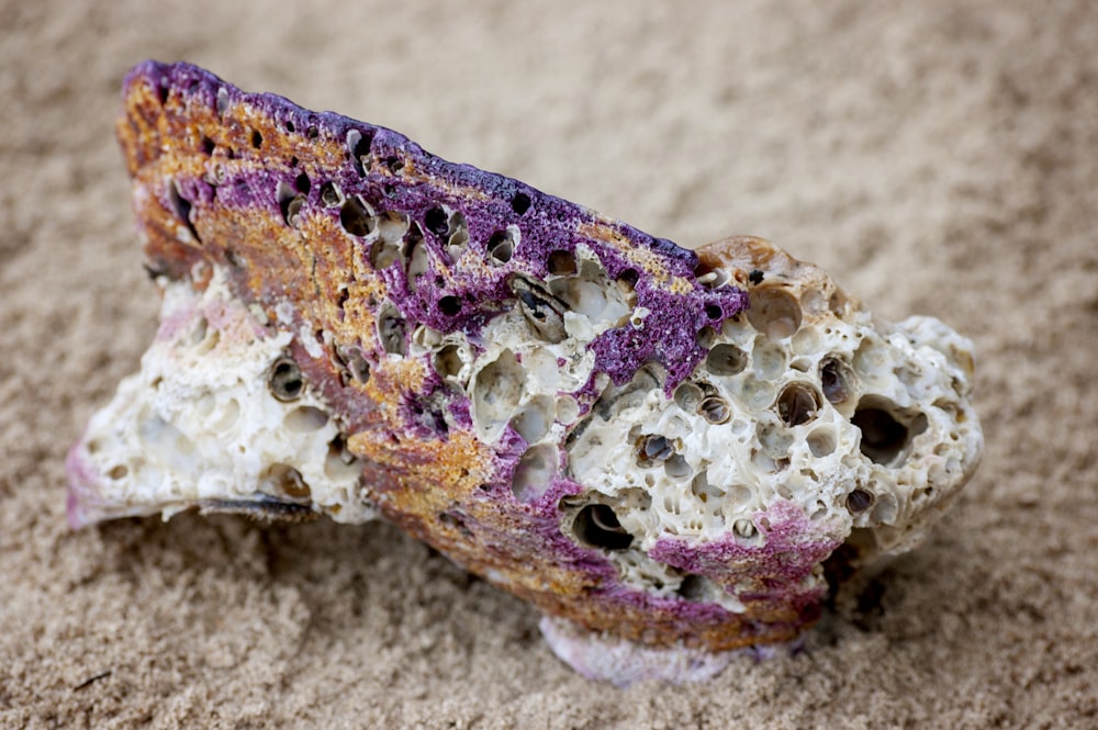 selective focus photography of a brown and purple stone