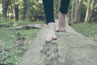Bare feet walking along a fallen tree trunk in a lush forest environment, surrounded by greenery and dappled sunlight filtering through the trees.