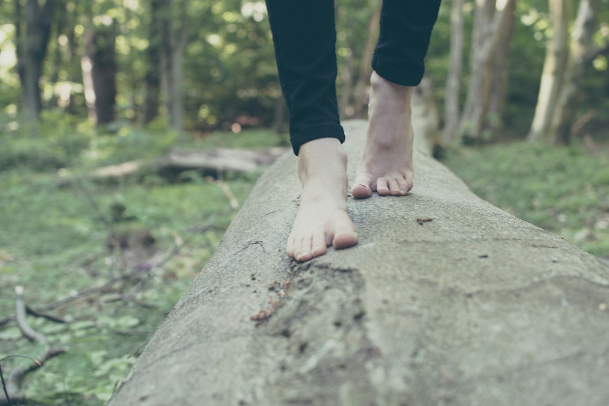 a walk in Gdansk forests