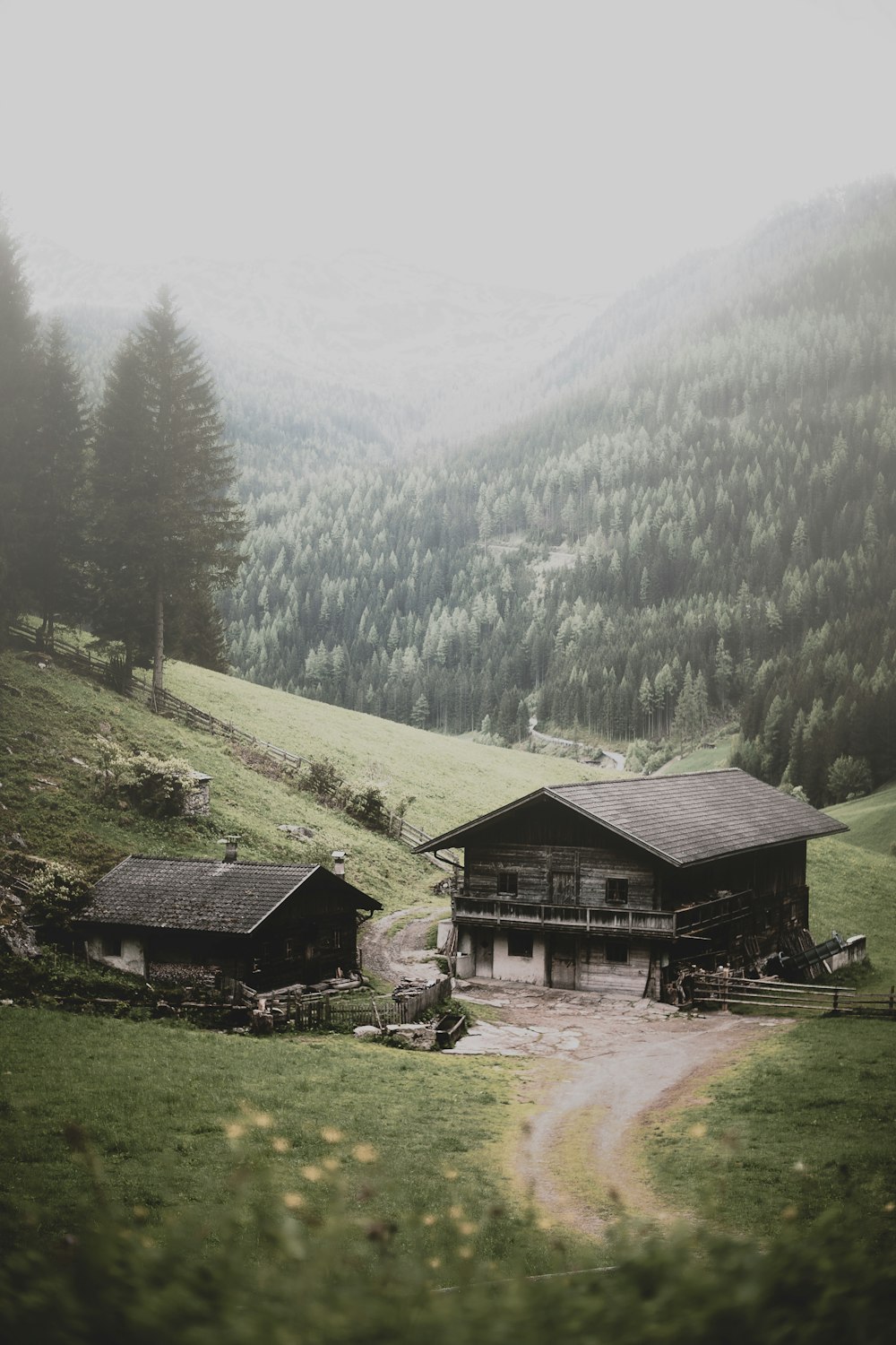 two brown wooden houses near mountain and trees at daytime