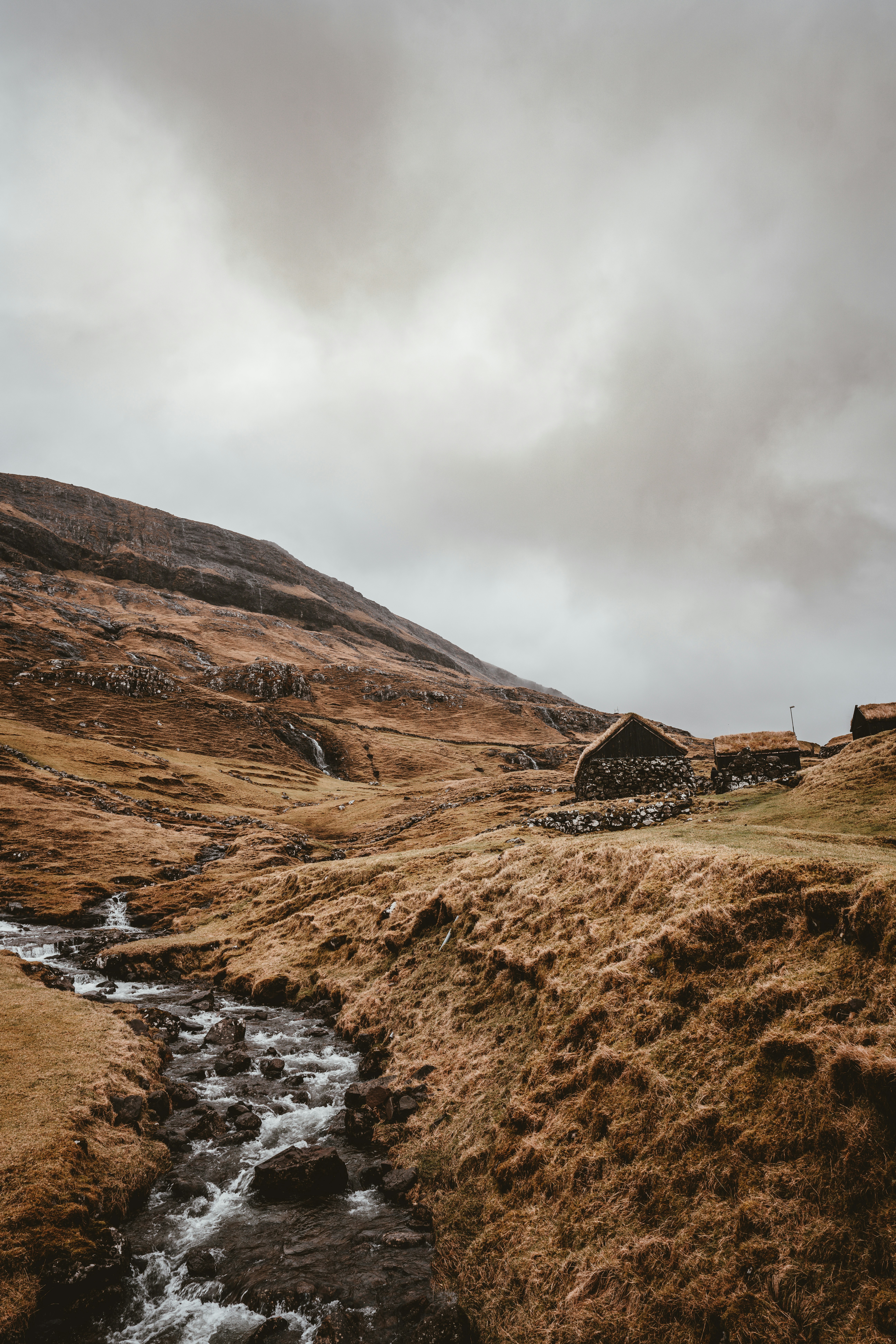 Remote monitoring app