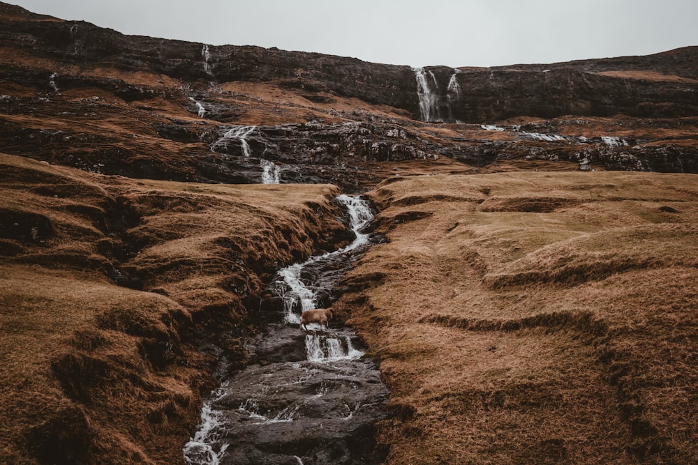 waterfalls under clear sky